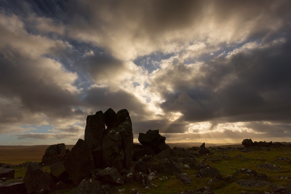 hare tor3